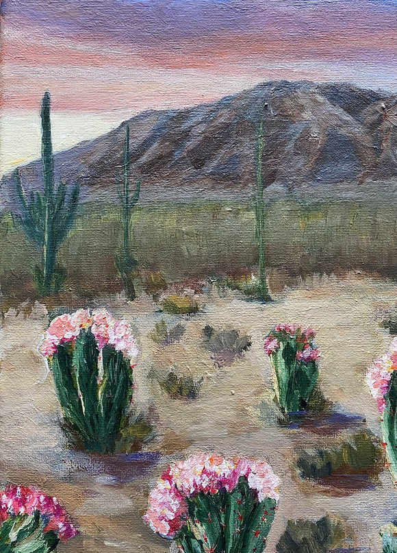 Desert Gardens