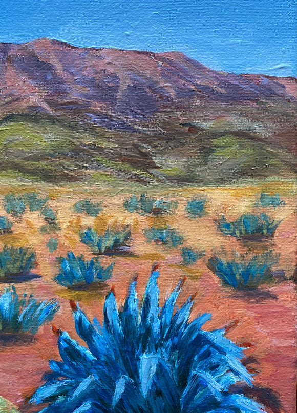 Blue Agave Desert