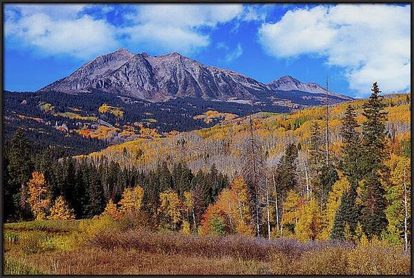 Autumn on Kebler Pass (HC)