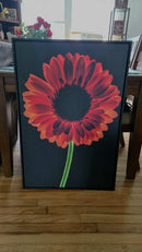 Dark Daisy Pink-2