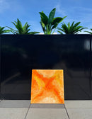 Phoenix 8-2