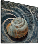 Shell Without a Shore-2