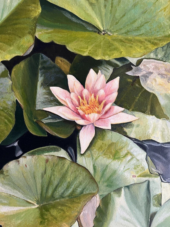 In the Lilies