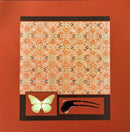 The Butterfly-2