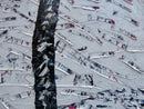 Winter Silhouette-2