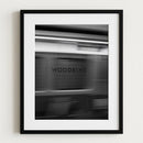 Woodbine-2