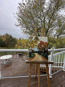 Fallen Leaves!-2