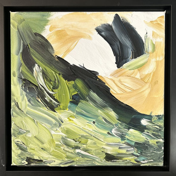 SOLARE PROSPECTUM