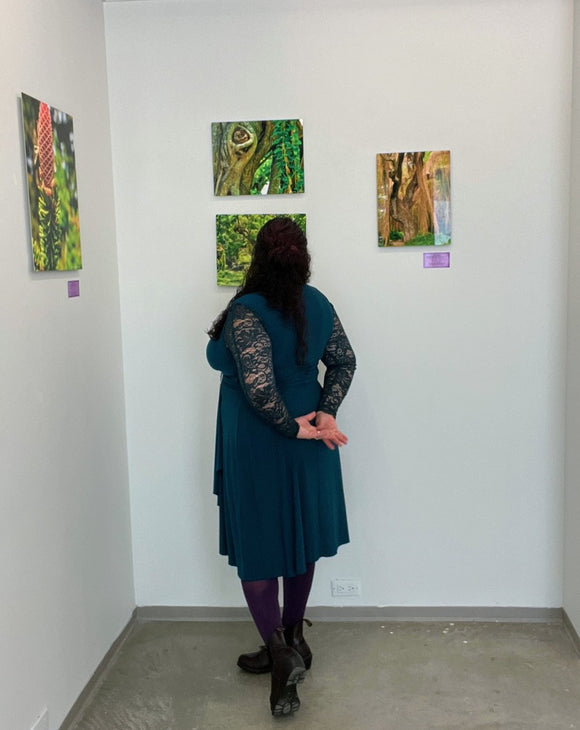 Triptych of wild forest in Havana