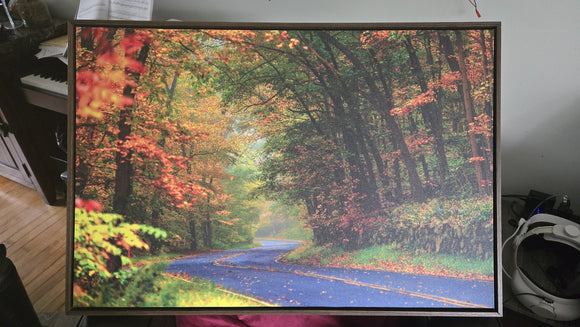 Fall Scenery