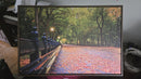 Fall in Central Park-2