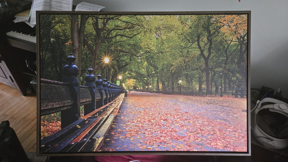 Fall in Central Park