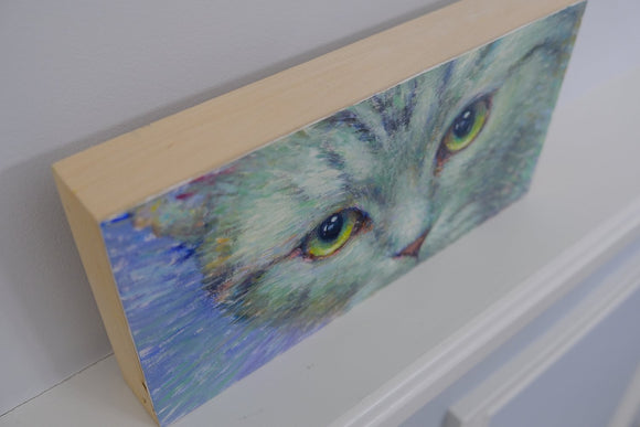 Inquisitive Cat