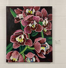 Phalaenopsis-2