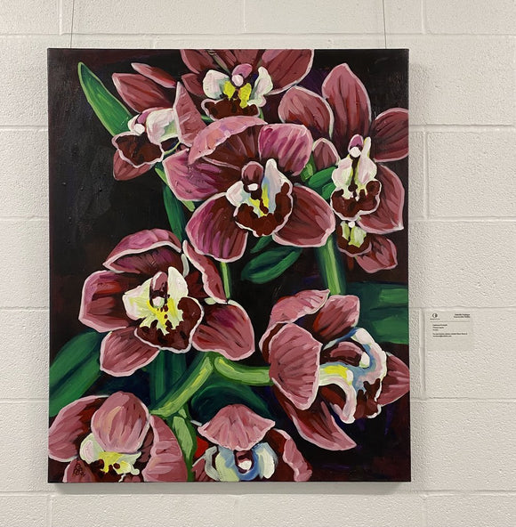 Phalaenopsis