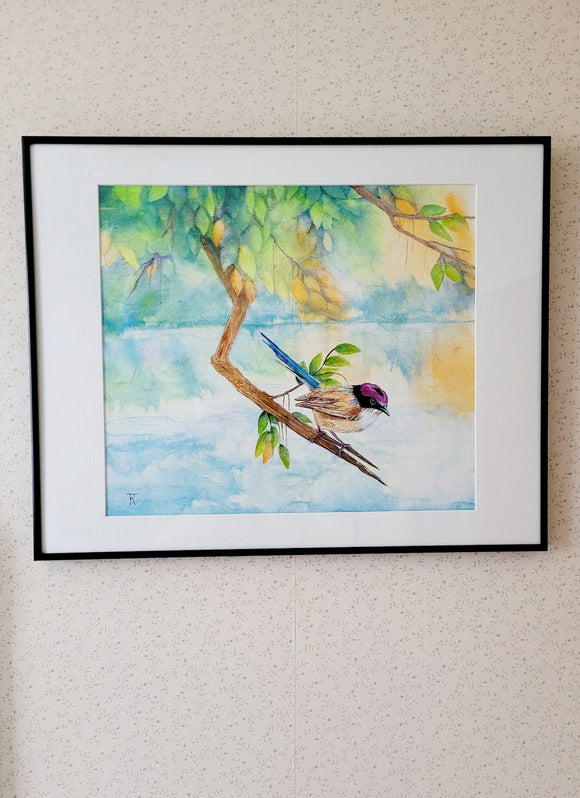 Purple-Crowned FairyWren