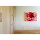 Coral Peony-2