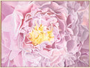 Glowing Peony-2
