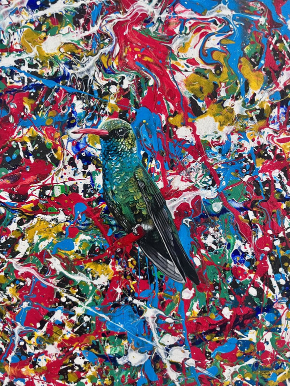 Broad-Billed Hummingbird