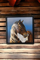 Wild Horse-2