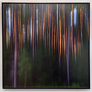 Forest Secrets-2
