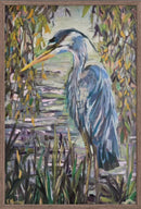Great Blue Heron-2