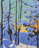 Winter light, Seaton Trail-2