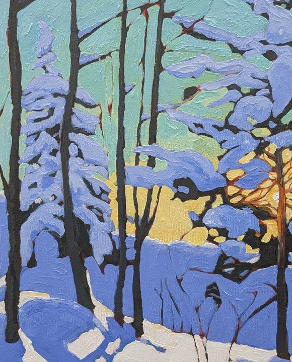 Winter light, Seaton Trail