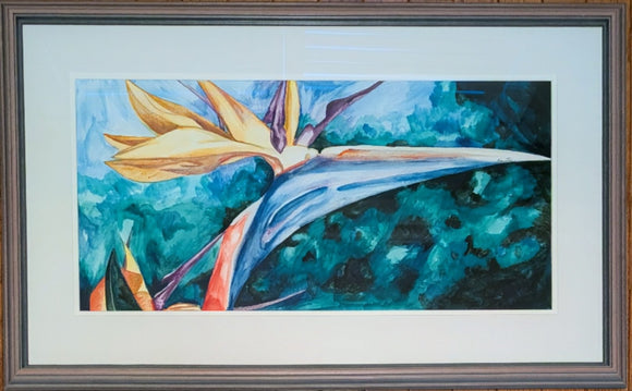 Bird of Paradise