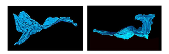 Fleeting (i)