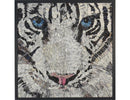 Snow Leopard-2