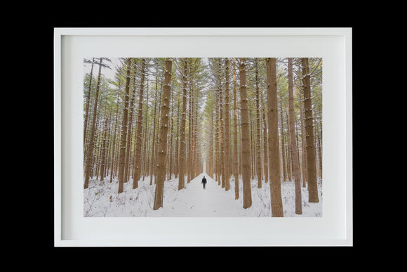 Winter Series: The Walker (Toledo)