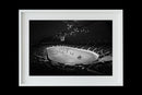 Coliseum, No. 1 (Minnesota)-2