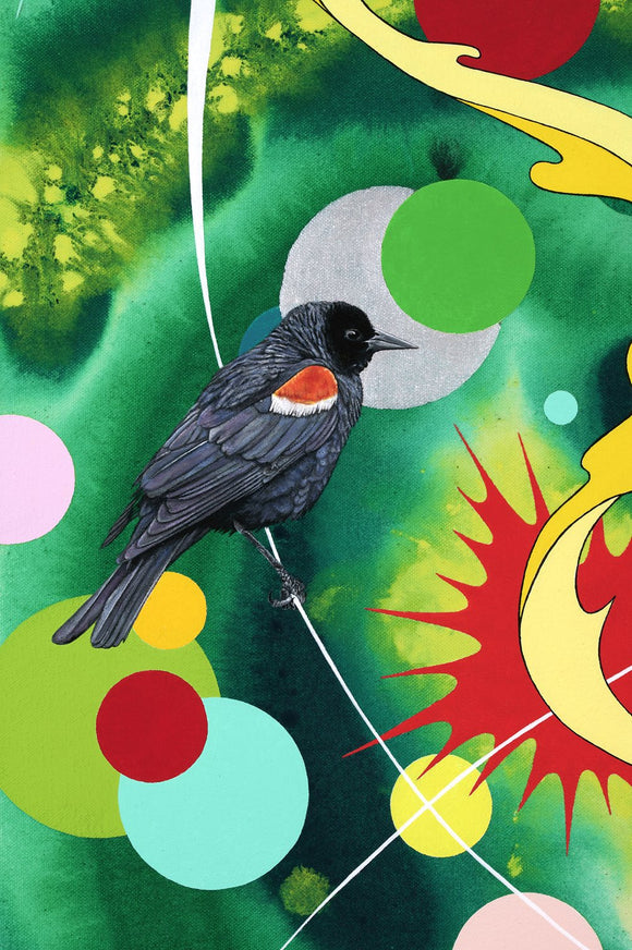 Electric Life Forever, (tricolored blackbird)