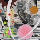 Tropic of Cancer, greater spotted eagle-2