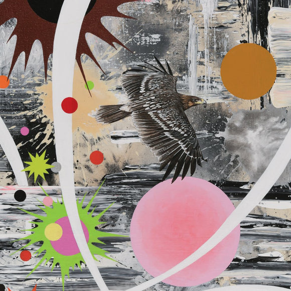 Tropic of Cancer, greater spotted eagle