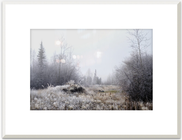 Tin Can Hill