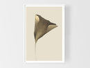 Ginkgo-2