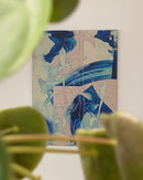 Plant Study Number 2-2