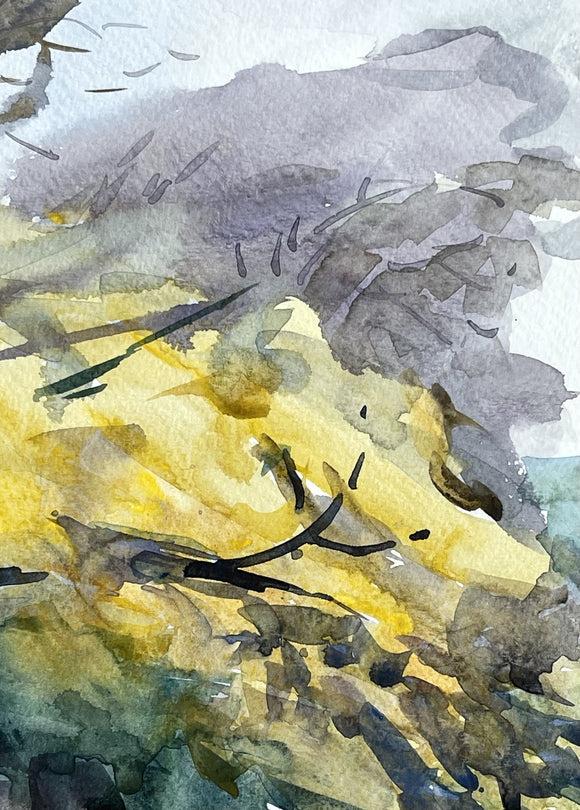 Gilded Park