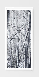 Winter Trees Collage-2