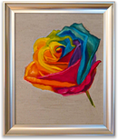 Multicoloured-2