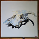 Bull Skull-2