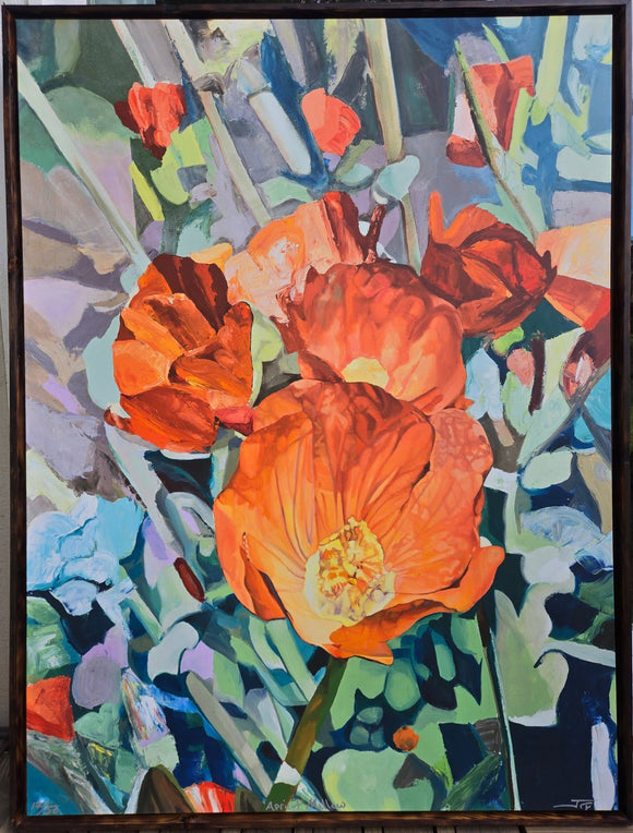 Apricot Mallow