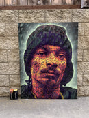 Snoop-2
