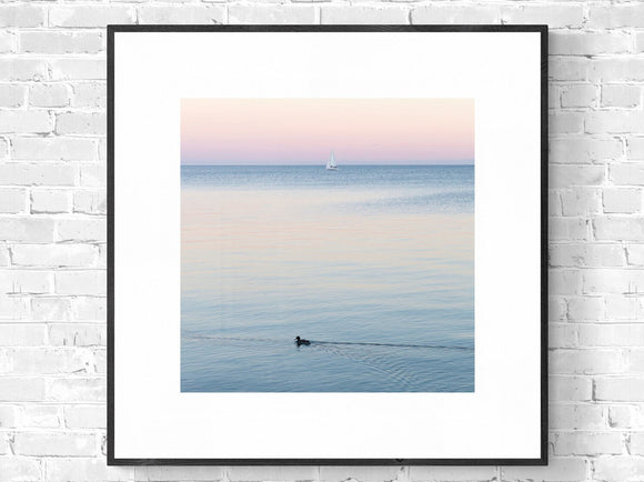 Duck and Boat