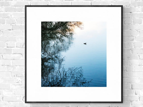 Duck No2