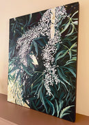 Elderberry-2