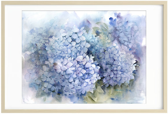Hydrangea Garden #1
