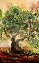 The Silence of Olive Trees-2
